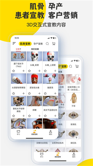 3DBody解剖截图3