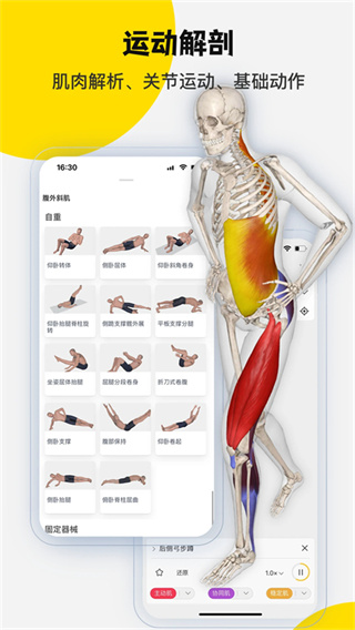 3DBody解剖截图5