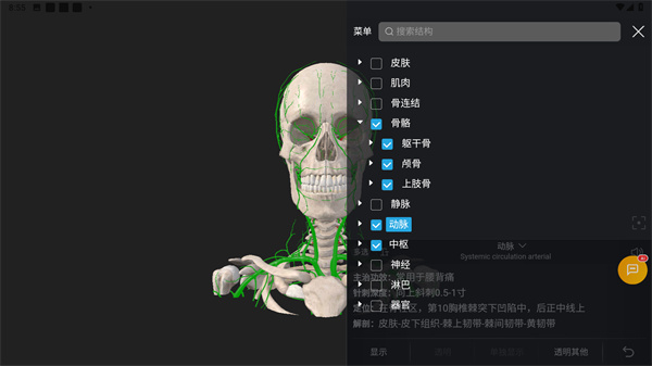 3DBody解剖