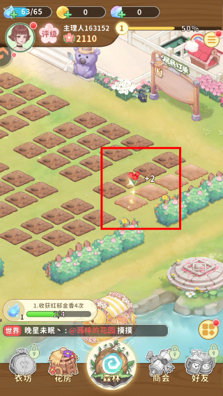 织梦森林官方正版