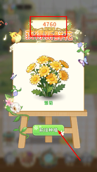 织梦森林无限钻石版