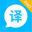 论文翻译助手