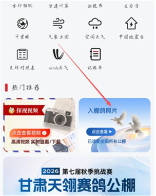 青鸽网