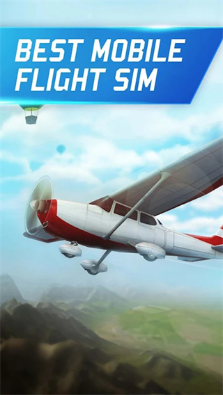 Flight Pilot截图1