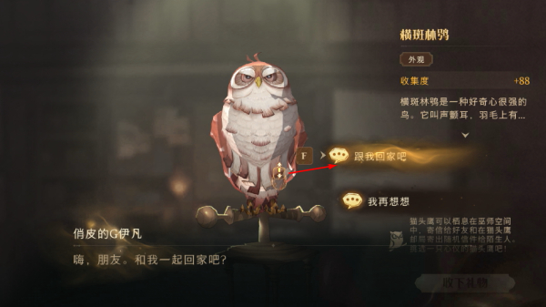 哈利波特魔法觉醒最新版