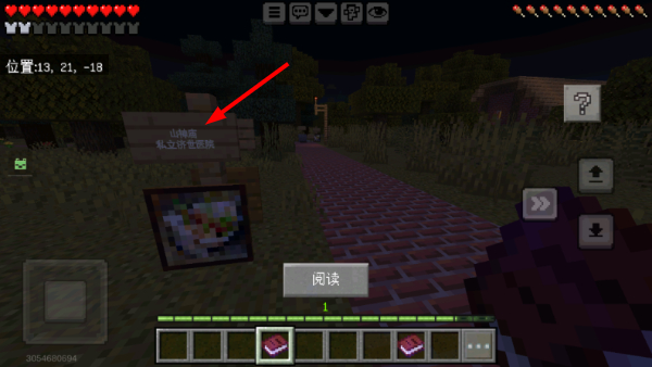 我的世界1.17.30.20