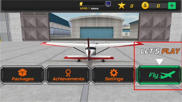 Flight Pilot