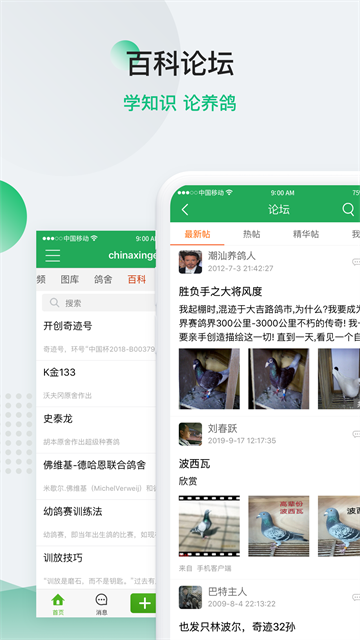 中信网-信鸽信息网截图2
