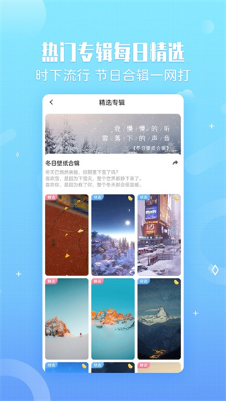 小鸟壁纸截图5
