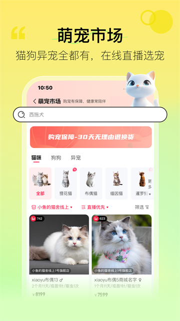 宠胖胖截图4