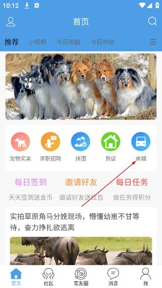 宠物之家