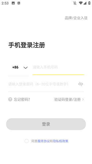 映兔