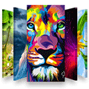 Million Wallpapers HD