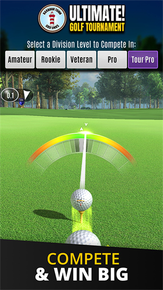 Ultimate Golf截图5