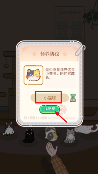 领养一只流浪猫