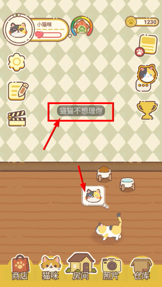领养一只流浪猫离线版