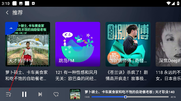 荔枝播客车机版