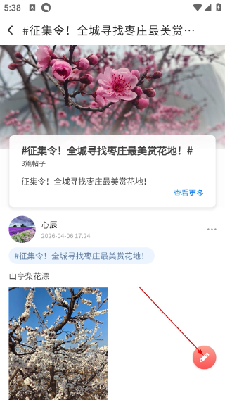 指动枣庄