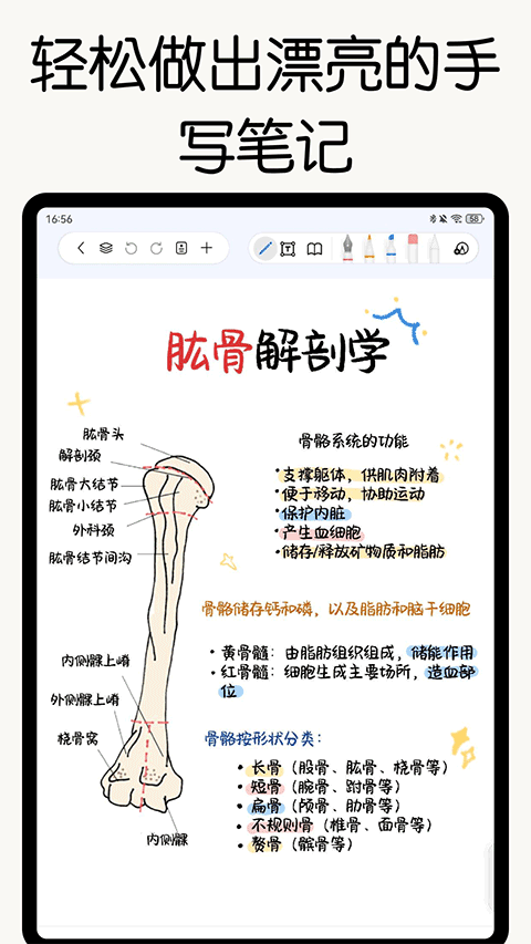 自由笔记正版截图5
