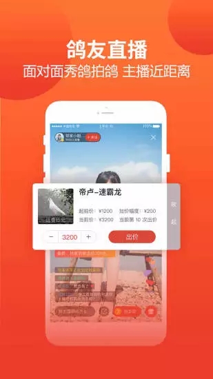 赛鸽头条成绩查询截图2