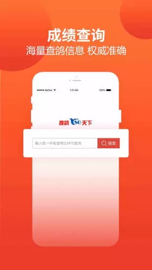 赛鸽头条成绩查询截图4