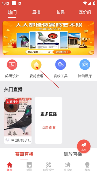 赛鸽头条成绩查询