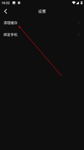 银杏视频最新版