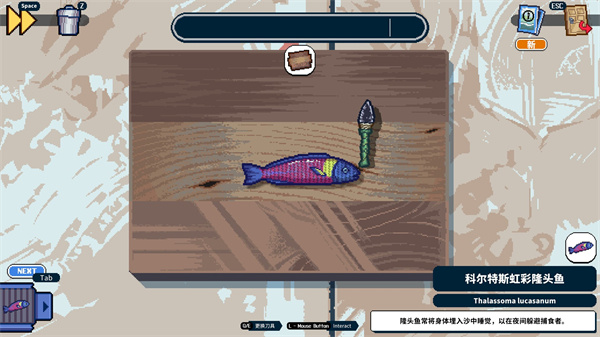深海刮刮乐截图1