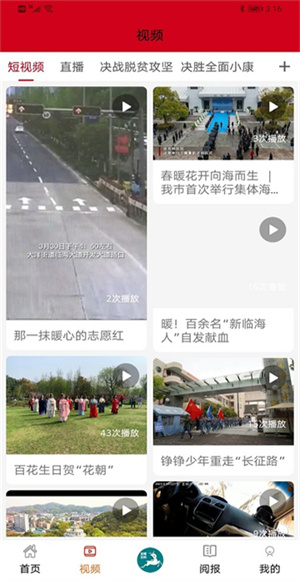 掌心临海截图4