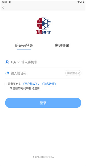 球进了