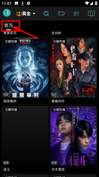 黄金影视TV