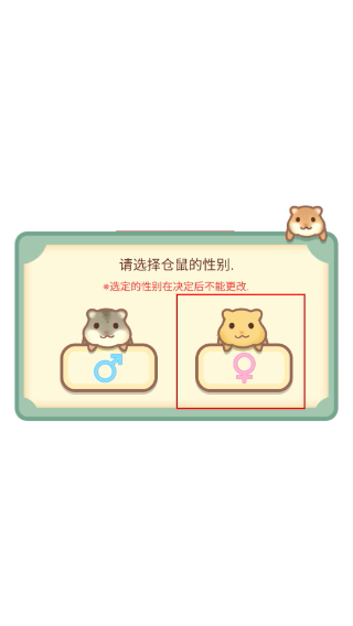 我的仓鼠