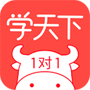 学天下1对1