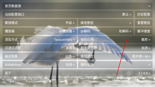 猫影视tv