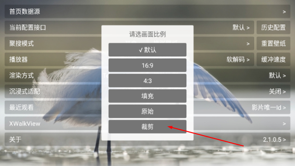 猫影视tv