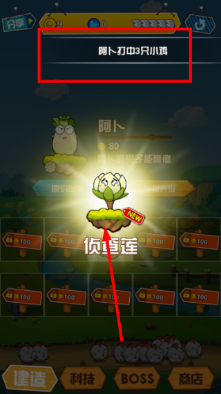 动物雨