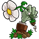 植物大战僵尸e版支线汉化版