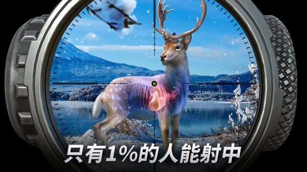 狩猎冲突截图1