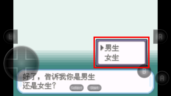 口袋暴龙