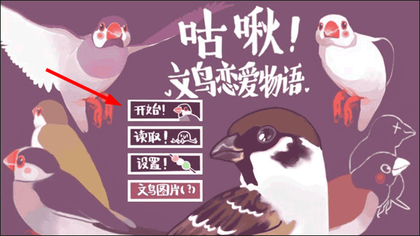 文鸟恋爱物语2026