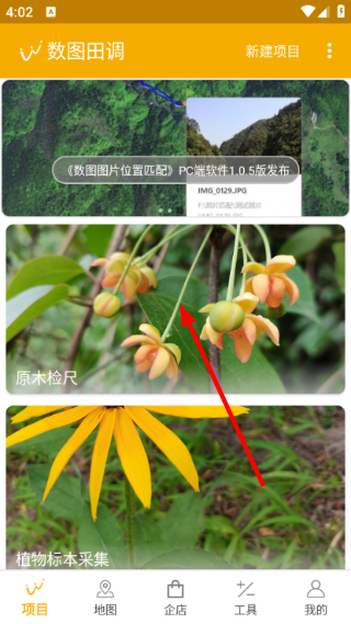 数图田调