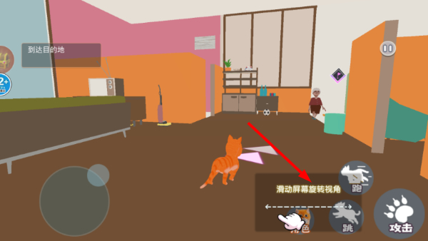 猫咪风云