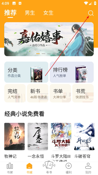 丁丁小说