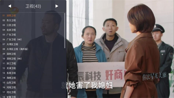 WebView电视截图5