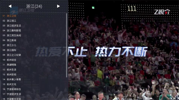 WebView电视截图3