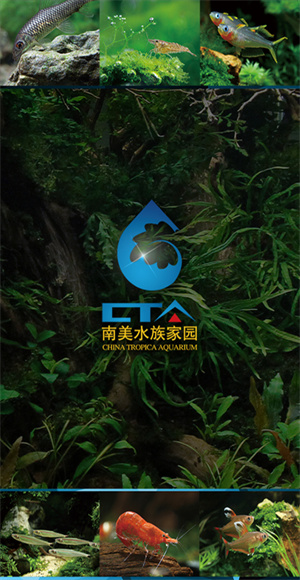 南美水族家园