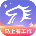 百城招聘