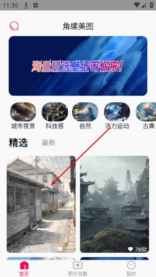 角螺美图壁纸