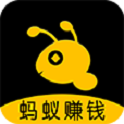 蚂蚁打字录入app