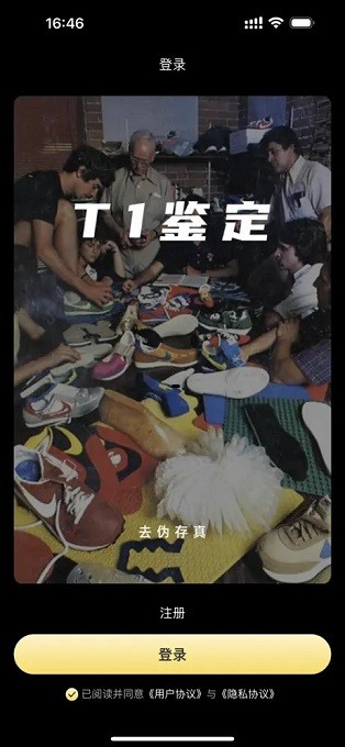 鉴定师T1鉴定